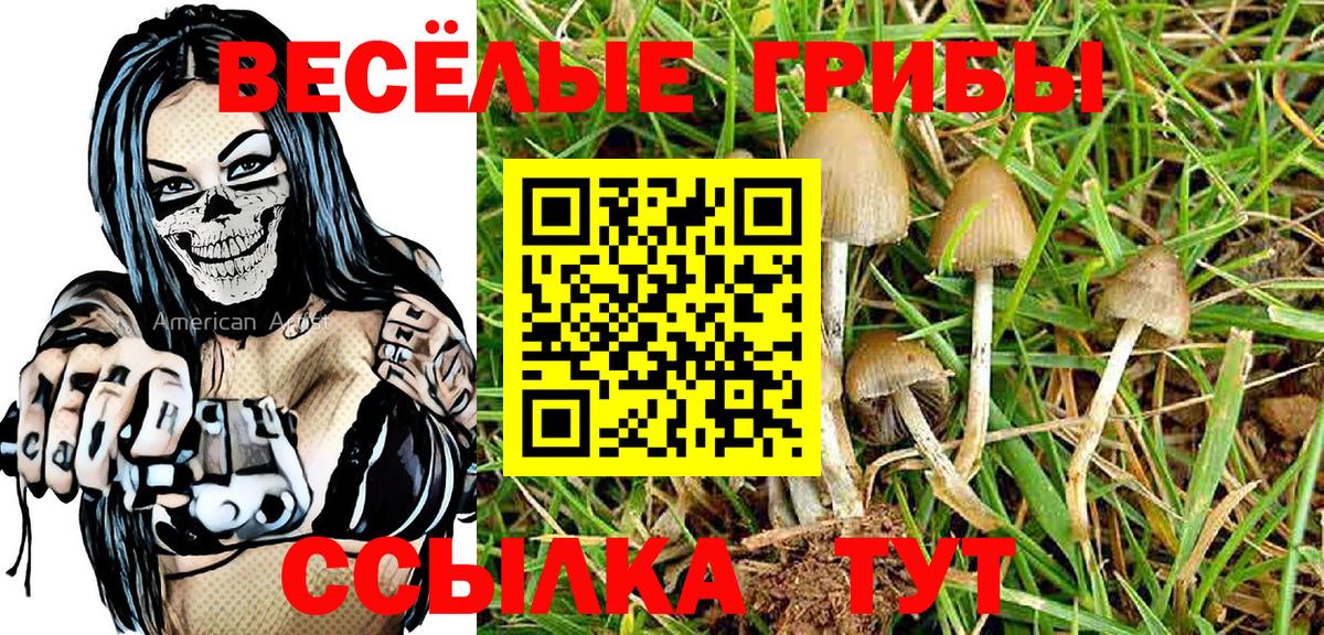 Саянск  Псилоцибиновые грибы мицелий  Вход с VPN 