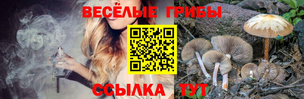 Псилоцибиновые грибы прущие грибы Саянск